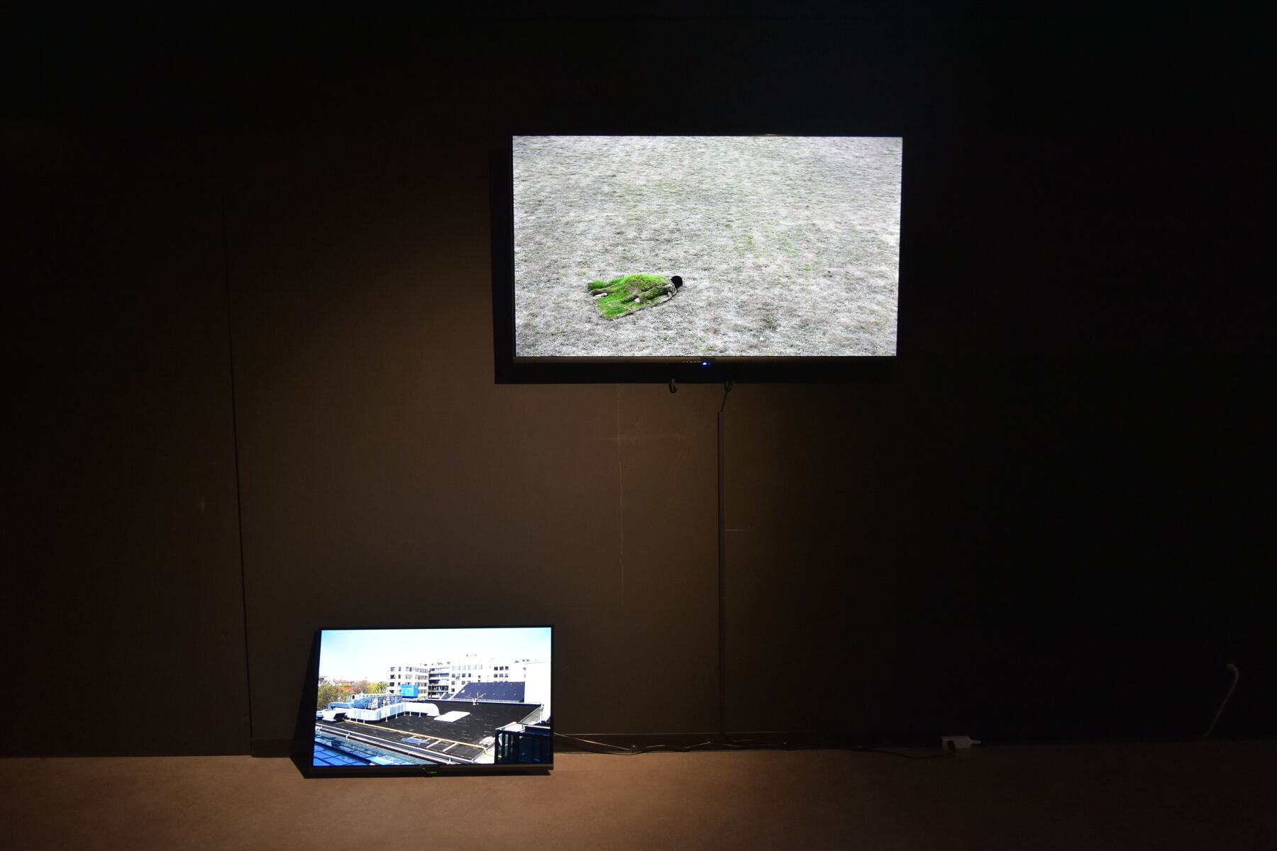 展览项目 01展览图 4